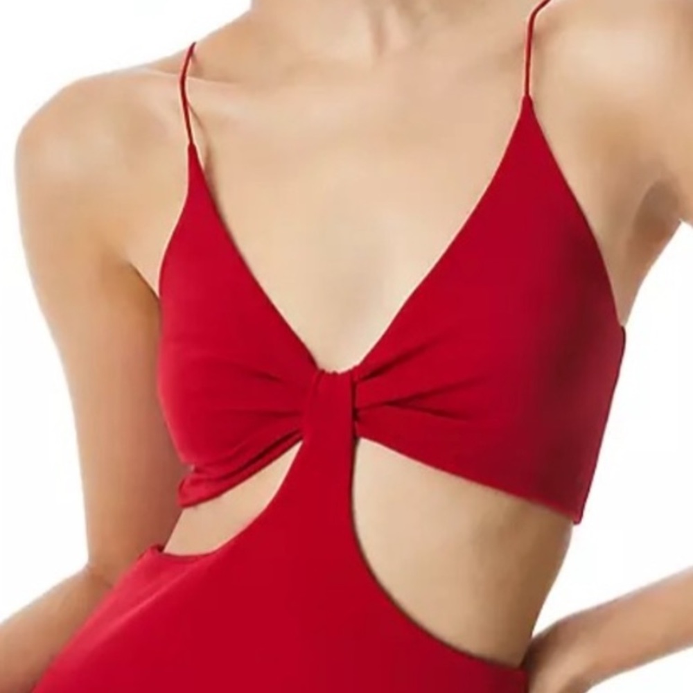 Alice and Olivia gown